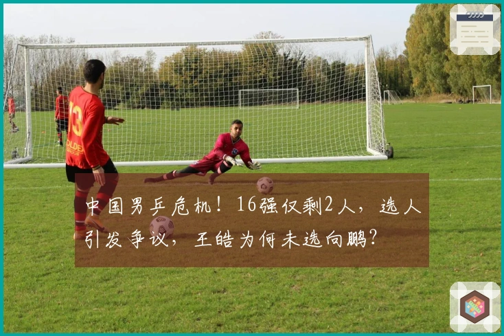 中国男乒危机！16强仅剩2人，选人引发争议，王皓为何未选向鹏？