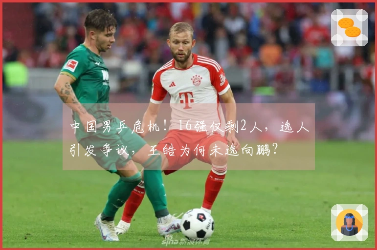 中国男乒危机！16强仅剩2人，选人引发争议，王皓为何未选向鹏？